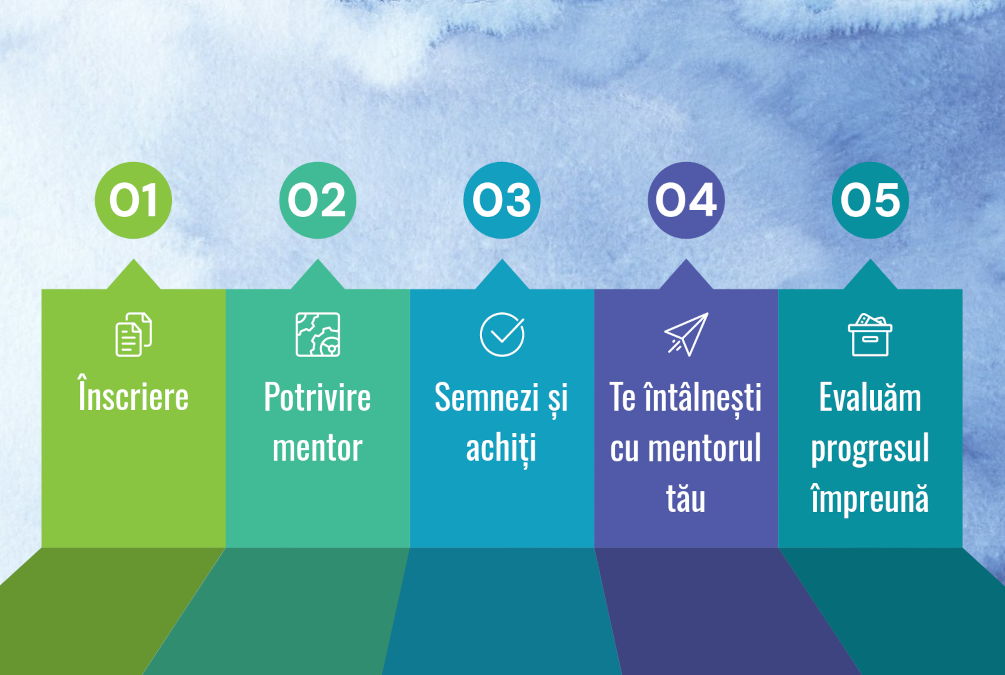 proces mentorat unu-la-unu proces mentorat unu-la-unu